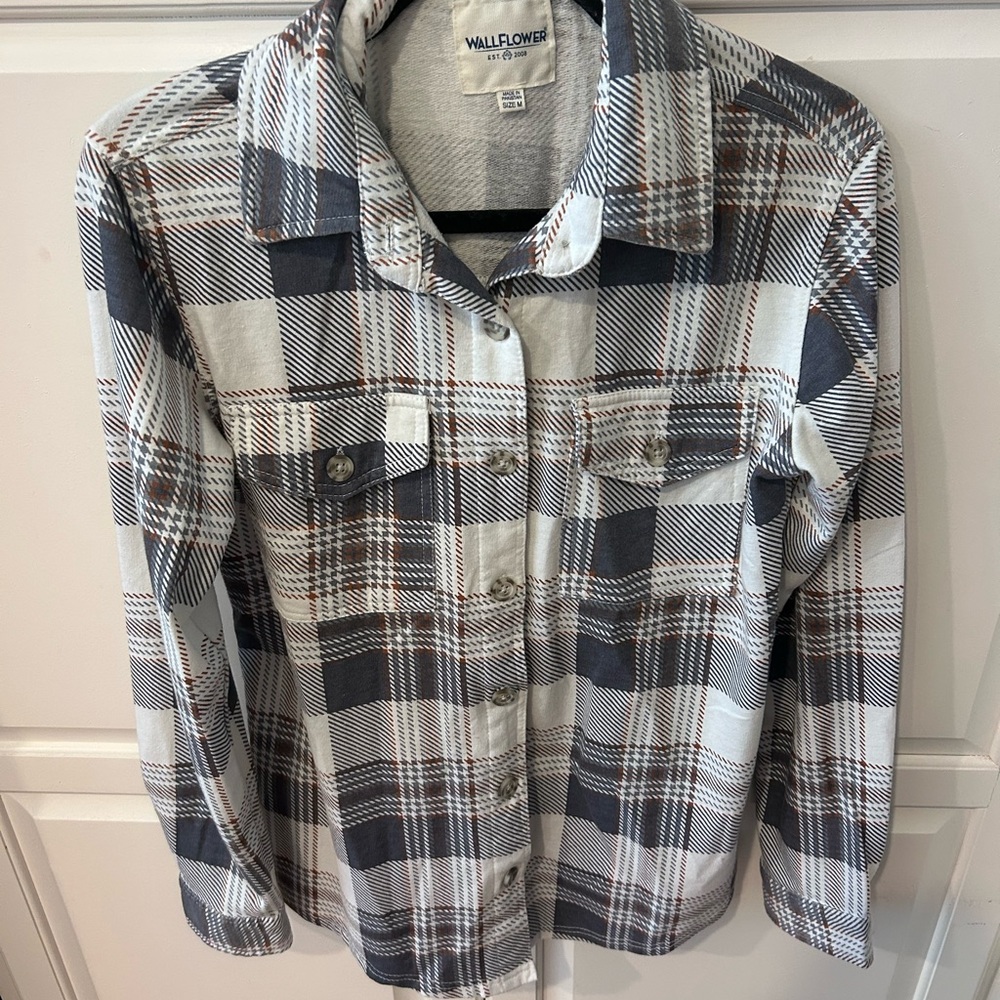 Wallflower Striped Shirt with Blue and Brown Accents